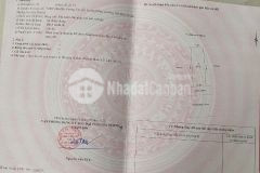Bán đất kdc bắc nguyễn lương bằng, tp hải dương, 65.02m2, mt 4.5m, hướng nam, có sổ