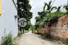 Cần bán 900m đất lạc đạo, ô tô vào thoải mái, lô góc lh 0835459289