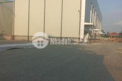 Chuyển nhượng 100 cpcty và ts tại long biên. hn