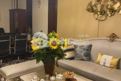 Bán nhà phố vọng hai bà trưng, 6 tầng thang máy, nội thất ngoại nhấp, gara ô tô.