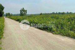 Chỉ 4.3trm2 đất 2 mặt tiền đường trần văn giàu bình chánh dt 16.500m2