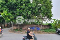 Chính chủ bán gấp 317m2 đất thổ cư 2 mặt tiền trung tâm hợp hòa tam dương vĩnh phúc