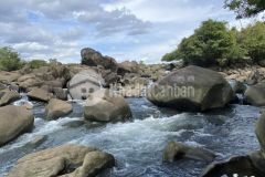 21hecta, có suối,gần dt725, di linh, lâm đồng