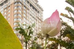 Bán chung cư căn hộ cantavil hoàn cầu đường điện biên phủ bình thạnh 143.6m2 8.7 tỷ