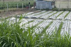 Hạ 350 triệu chỉ còn 1,950 tỷ cần bán đất