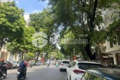 Bán nhà mặt phố bà triệu hà đông 56m2 4 tầng giá chỉ 8 tỷ vỉa hè kinh doanh