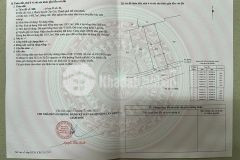 Bán đất đường xương cá lý nhơn, cần giờ 22 x 71, giá 4,2 tỷ