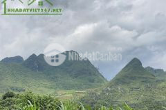 Chủ cần bán gấp 4000m2 tại quản bạ hà giang view thoáng mát
