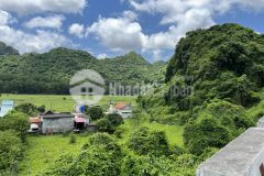 Bán 2764m2 đất xã trân châu huyện cát hải, sổ đỏ sẵn, 7.5trm2 tỷ. lh0986736668