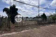 Đât ban sô riêng thô cư đương 6m ta nung đa lat