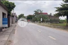 Lô việt thắng núi bắc giang k mua thì chỉ hối hận thôi