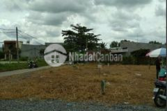 Chủ cần tiền đáo hạn ngân hàng cần bán gấp miếng đất đường bến than xã tân thạnh đông huyện củ chi