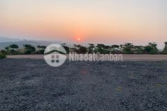 Đất ngộp cần ra đi nhanh ở chơn thành, bình phước 210m2 chỉ 290tr