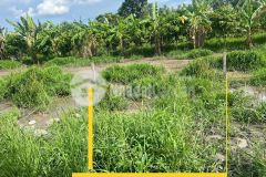 Bán 2 nền nền mini gần võ văn kiệt long hòa bình thủy cần thơ giá chưa tới 400 triệu