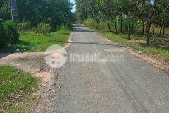 Cần bán gấp miếng đất 172m2 ở tân phú trung củ chi giá 690 triệu.