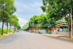 Nằm trong khu đấu giá lê vụ cực đẹp, quy hoạch hạ tầng đồng bộ bài bản