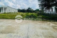 Bán đất ngay trung tâm bàu bàng giá ngộp chỉ 420 triệu