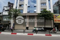 Bán tòa nhà văn phòng vip mặt phô tôn đức thắng dt 540m2 mt 22m. giá 550 tỷ