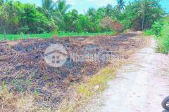 Bán nển thổ cư giá rẻ hẻm 4 bùi hữu nghĩa bình thủy cần thơ