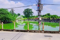 Chính chủ, bán đất ngõ đường quang trung, hà đông, dt 55m2