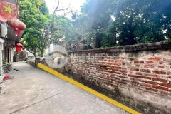 Bán đất kiêu kỵ gia lâm giá f0