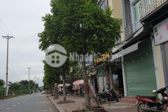 Bán gấp đất hoài đức trả nợ 43m, oto vào tận đất, chỉ 1.98 tỷ.