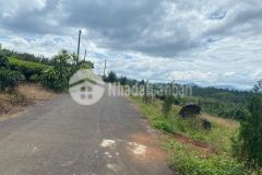 Bán 2278m2 có 400m2 thổ cư,đường nhựa,gần ql 20,nhà vườn suối quanh đất lộc an bảo lâm 3tyx