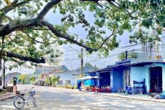 Cần bán gấp 150m2 ngang 5.6m mặt tiền đường 10m5