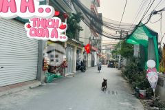 Vip nhất phương canh hàng xóm kdt foresa