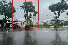 Cho thuê 250m2 đất bùi tá hán đường 15m