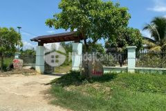 Bán trang trại nhà vườn nghỉ dưỡng diên thọ rất đẹp gần tỉnh lộ 2