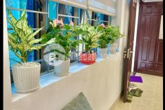 Bán biệt thự dân xây 3 tầng, dt 130m2, mt 16m, 15 tỷ, tân mai, hoàng mai.