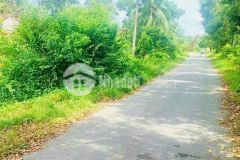 Cần bán gấp miếng đất 110m2 ở tân phú trung củ chi giá 550 triệu.