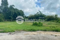 Cần bán lô đất vườn 443m có 200m thổ cư 1 ql22 giá 1 ty450 củ chi