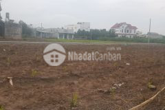 Bán lô đất lấy tiền trả nợ ngân hàng và tiêu hết