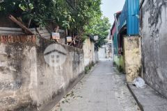 Bán đất làng tứ kỳ linh đường hoàng liệt 52m2 oto đỗ cửa 4.1x tỷ