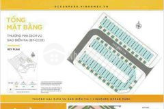 Mở bán tmdv phân khu hot nhất tại vinhomes ocean park chỉ từ vtc 3 tỷ