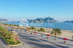 Hàng hot đất nền mặt đường bao biển hạ long cẩm phả suất đầu tư chỉ từ 1,4 tỷ 30 sổ đỏ trao