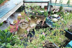 Cho thuê nhà 3 tầng đướng 29, ngang 10m, 50trth