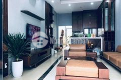 Bán nhà hoa lâm, long biên 70m2x5t,ô tô đỗ cửa,kinh doanh, tương lai 2 mặt tiền chỉ hơn 8 tỷ.