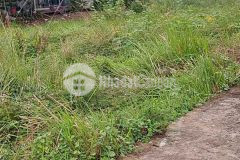 Đất dân cắt bán thôn phước điền xã phước đồng nha trang giá 200 triệu.