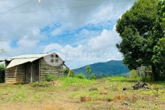 Bán đất khu du lịch măng đen