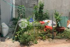 Bán đất đường số 2 trường thọ, dt 78m2, giá 4.7 tỷ