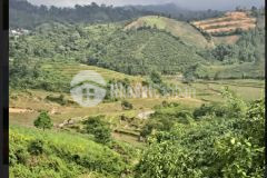 Bán đất măng đen khai thác du lịch 4 mùa