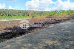 Bán lỗ lô đất lấy tiền giải quyết công việc, lấy tiền tiêu tết