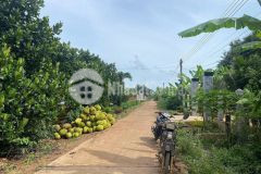 Bán gấp lô đất giá 415 triệu có 100 mét thổ cư 2000 mét vuông