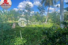 Chủ ngộp giảm giá mạnh, châu thành, tiền giang