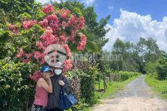 25623m2 đất trồng cây lâu năm xã phú hòa đông, củ chi giá 42 tỷ