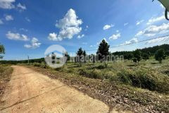 Tôi đang cần bán vườn trái cây ngay thành phố đồng xoài