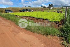 Chỉ 1tỷ050tr sở hữu ngay đất nền suối thông